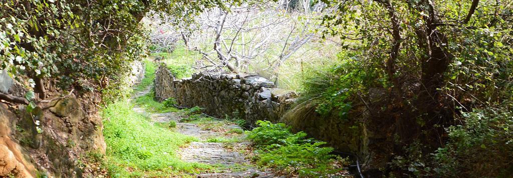 Andros Maisonettes Áyios Pétros Exteriör bild